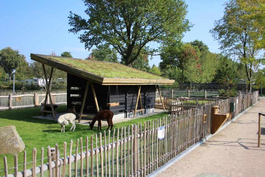 Campsite Estivo Premium Mobile Homes On Holidaypark Terspegelt *